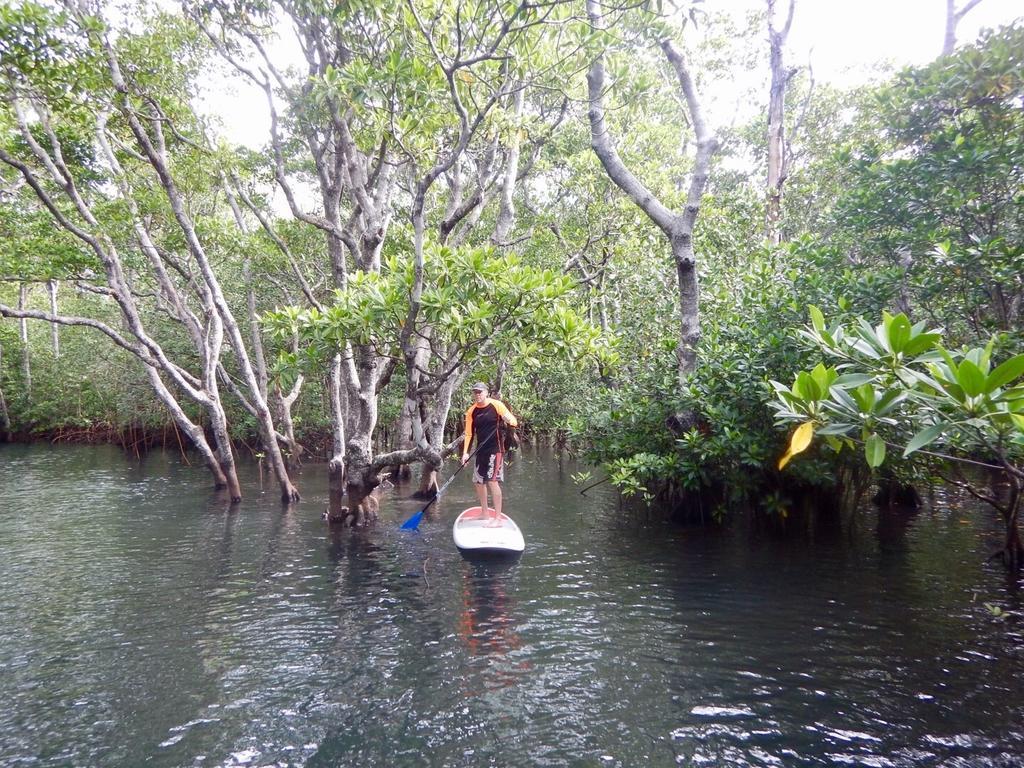 Sau Bay Resort - Off Taveuni Na Sau Bay Εξωτερικό φωτογραφία