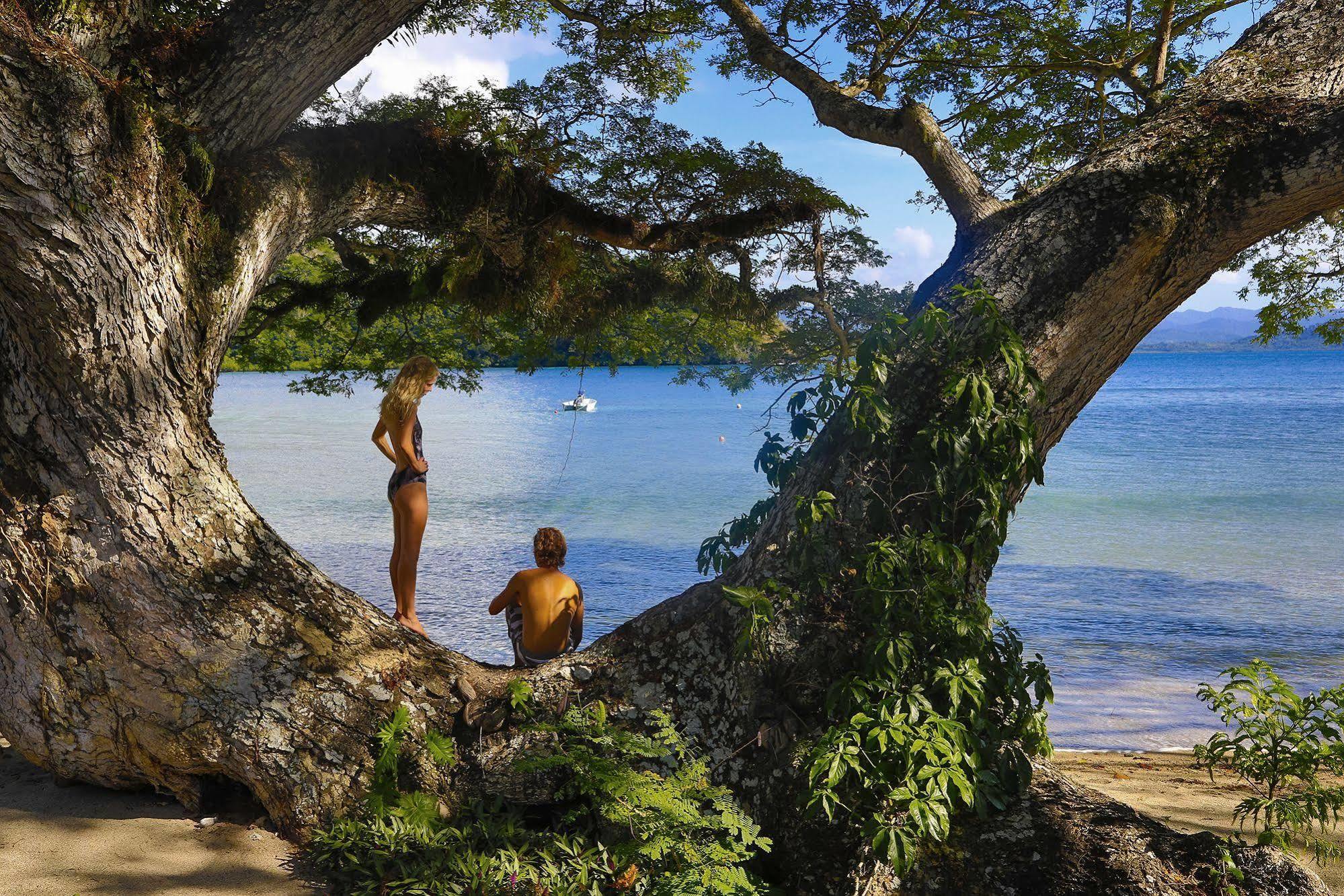 Sau Bay Resort - Off Taveuni Na Sau Bay Εξωτερικό φωτογραφία